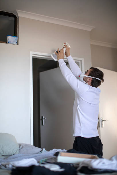 Best Mold Damage Restoration  in Randolph, WI