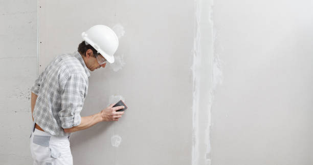  Randolph, WI Mold Removal Pros