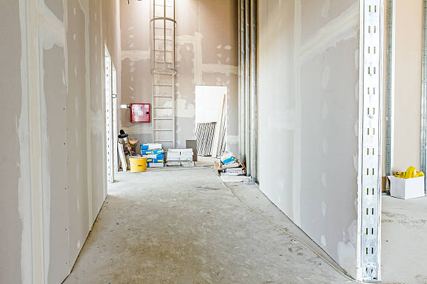 Reliable Randolph, WI Mold Removal Solutions