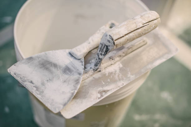 Best Commercial Mold Inspection  in Randolph, WI