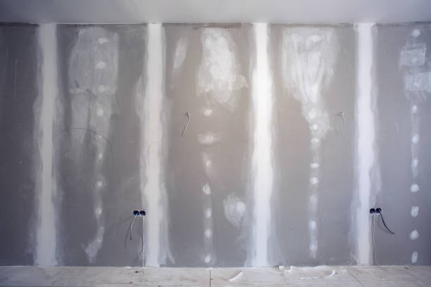 Best Post-Construction Mold Inspection  in Randolph, WI
